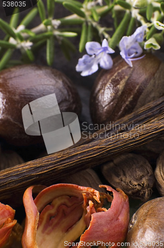 Image of aromatic herbs and spices