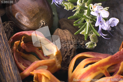 Image of aromatic herbs and spices