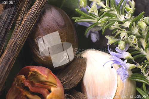 Image of aromatic herbs and spices