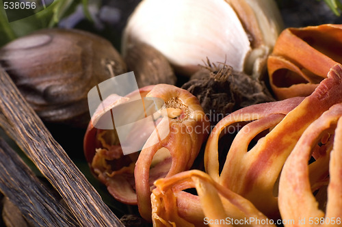 Image of aromatic herbs and spices