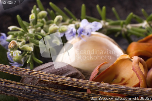 Image of aromatic herbs and spices