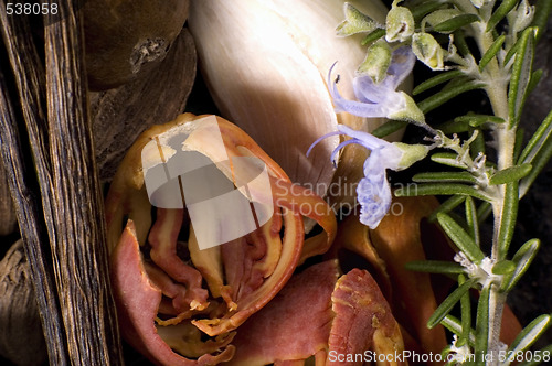 Image of aromatic herbs and spices