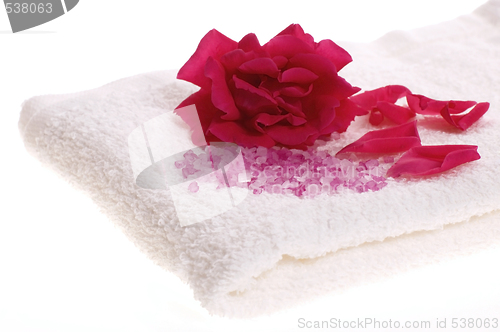 Image of rose bath items