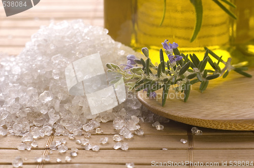 Image of herbs and spices. rosemary, lavender, salt and olive