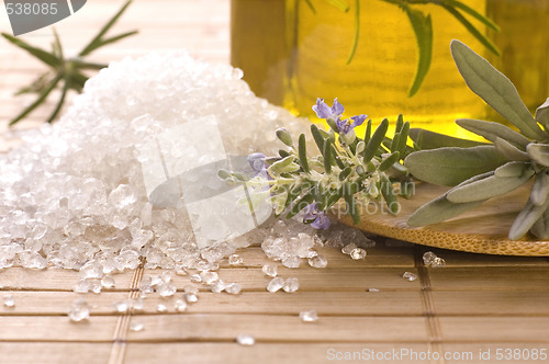 Image of herbs and spices. rosemary, lavender, salt and olive