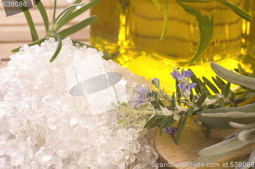 Image of herbs and spices. rosemary, lavender, salt and olive