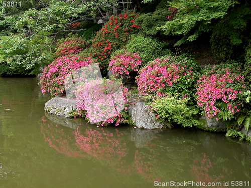 Image of Japanese Garden