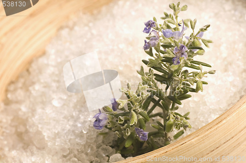 Image of rosemary salt. aroma bath