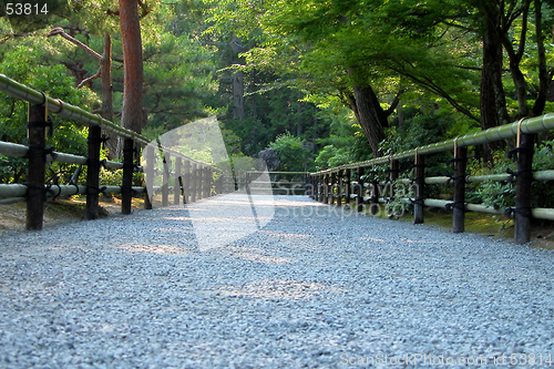Image of Walking Path