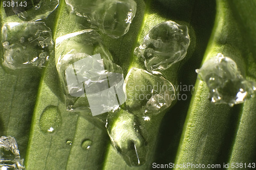 Image of abstract background. frozen salt