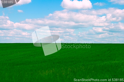 Image of field and blue sky