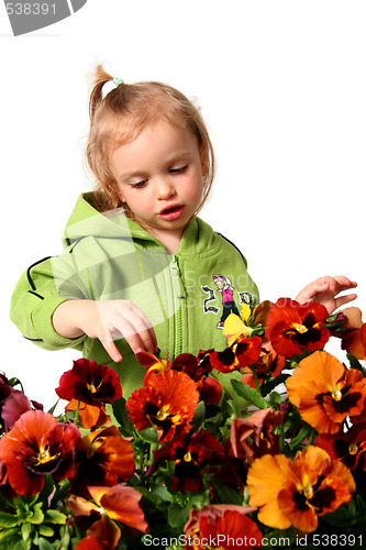 Image of Little gardener