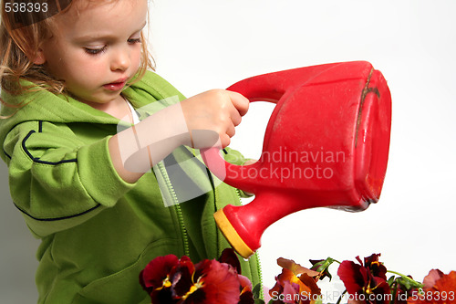 Image of Little gardener