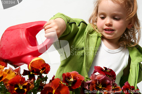 Image of Little gardener