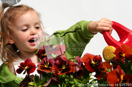 Image of Little gardener