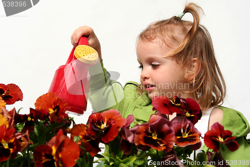 Image of Little gardener