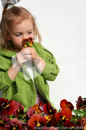 Image of Little gardener