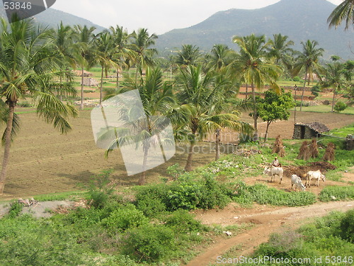 Image of Indian Village