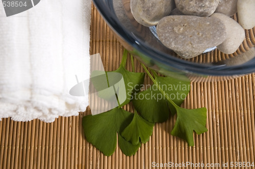 Image of alternative medicine. ginkgo biloba therapy