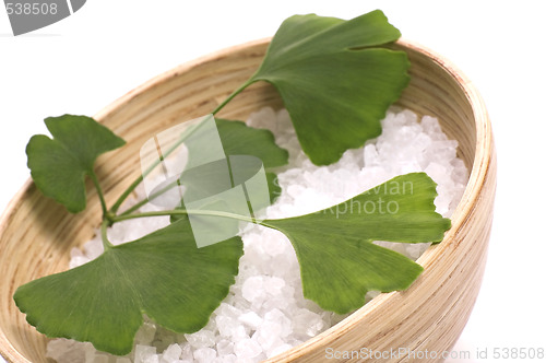 Image of ginkgo biloba bath