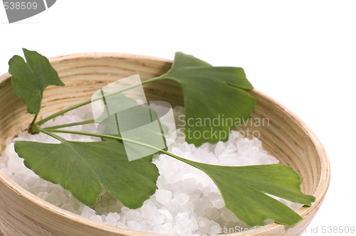 Image of ginkgo biloba bath