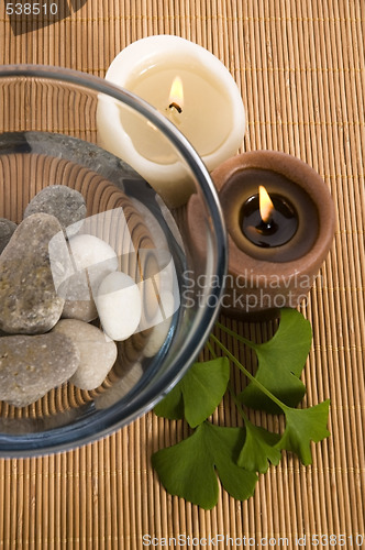 Image of alternative medicine. ginkgo biloba therapy