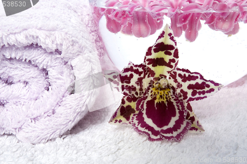 Image of aroma bath. spa