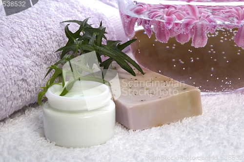 Image of aroma bath. spa