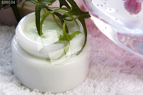 Image of aroma bath. spa