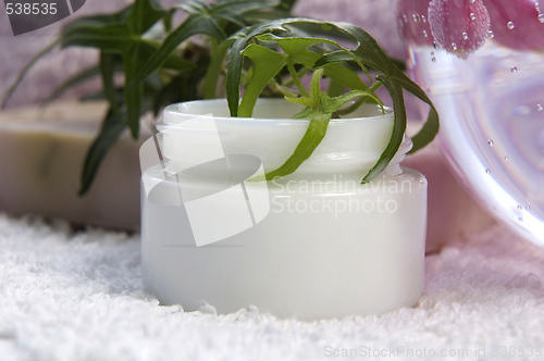 Image of aroma bath. spa