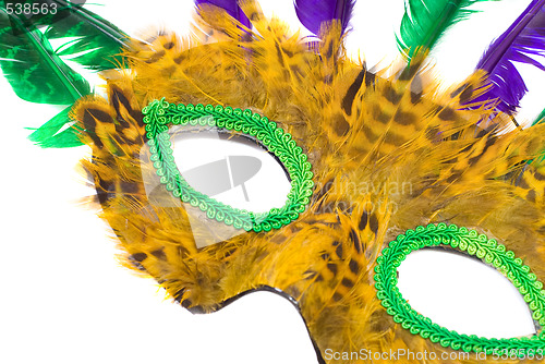 Image of Feather Mask