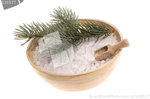 Image of pine bath items. alternative medicine