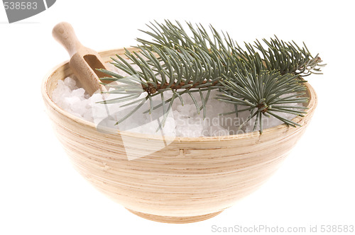Image of pine bath items. alternative medicine