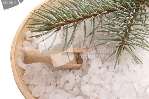 Image of pine bath items. alternative medicine