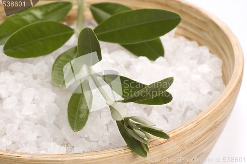 Image of spa. bath salt and olive branch