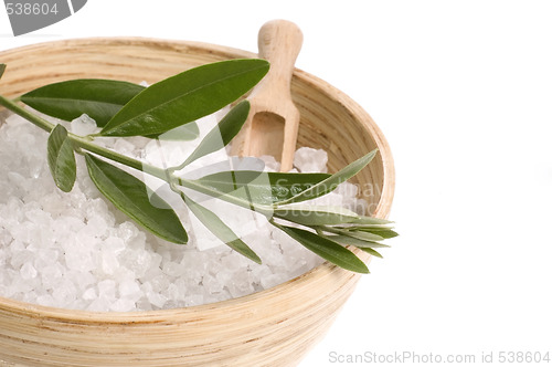 Image of spa. bath salt and olive branch