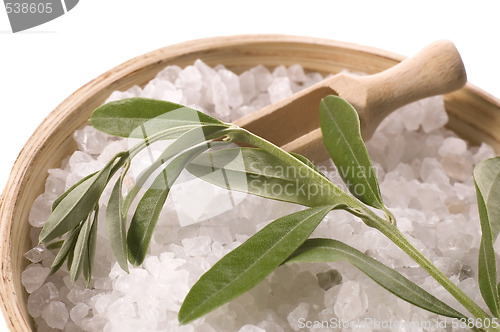 Image of spa. bath salt and olive branch