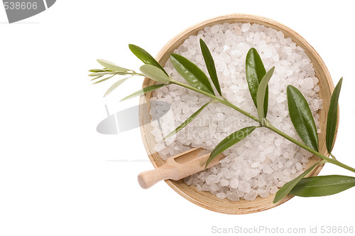 Image of olive bath items. alternative medicine