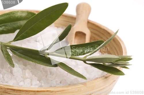 Image of olive bath items. alternative medicine