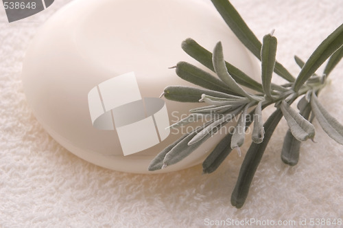 Image of milk soap and fresh herbs