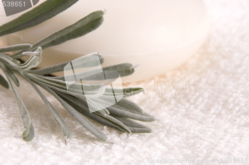 Image of milk soap and fresh herbs