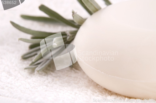 Image of milk soap and fresh herbs