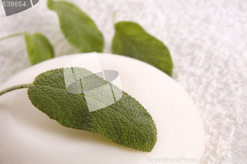 Image of bath. milk soap and herbs
