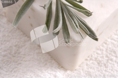 Image of milk soap and fresh herbs