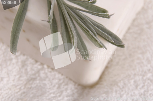 Image of milk soap and fresh herbs