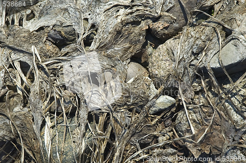 Image of dry background. erosion