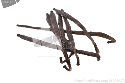 Image of vanilla beans