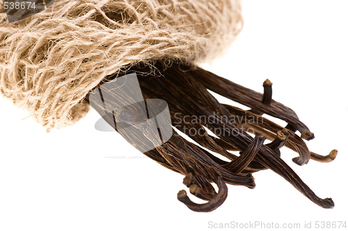 Image of vanilla beans