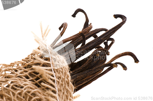 Image of vanilla beans