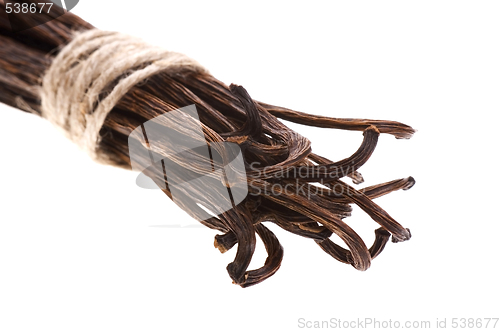 Image of vanilla beans